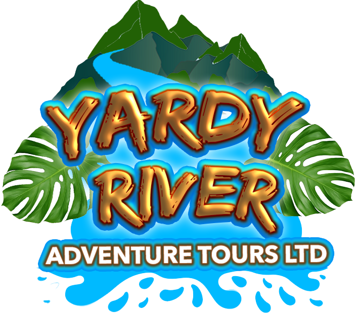 Yardy Adventures